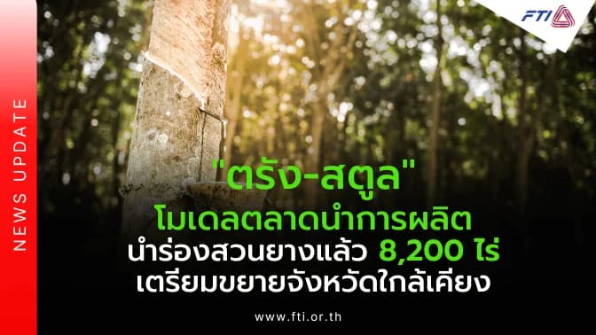 “ตรัง-สตูล” โมเดลตลาดนำการผลิต นำร่องสวนยางแล้ว 8,200 ไร่ เตรียมขยายจังหวัดใกล้เคียง